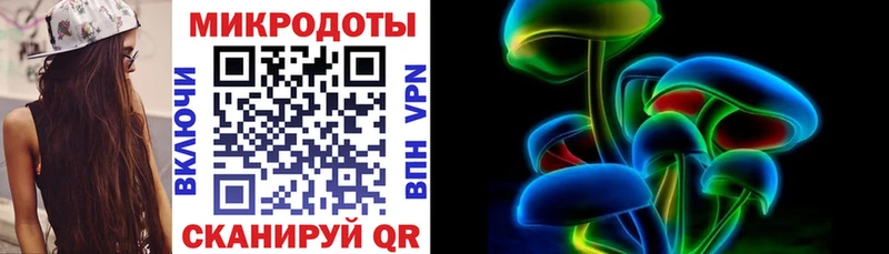 Псилоцибиновые грибы Psilocybine cubensis  Касимов 
